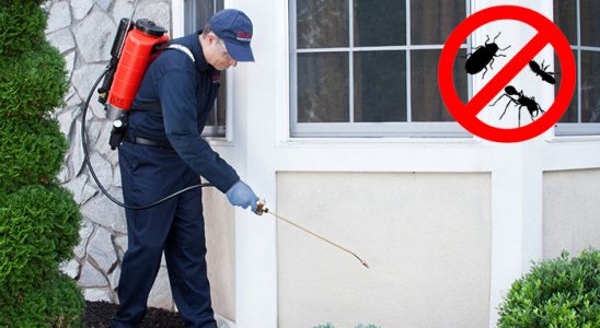 Söğütlü Akrep İlaçlama böcek ilaçlama ve haşere kontrolü — ilaclama-tr.com